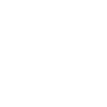 ���� ������ ���������