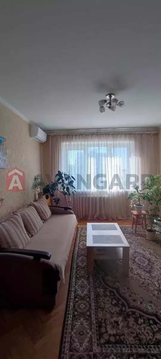 3 ��. ��������, 64/-/12 ��. �., 10/10 ������ ���� 2