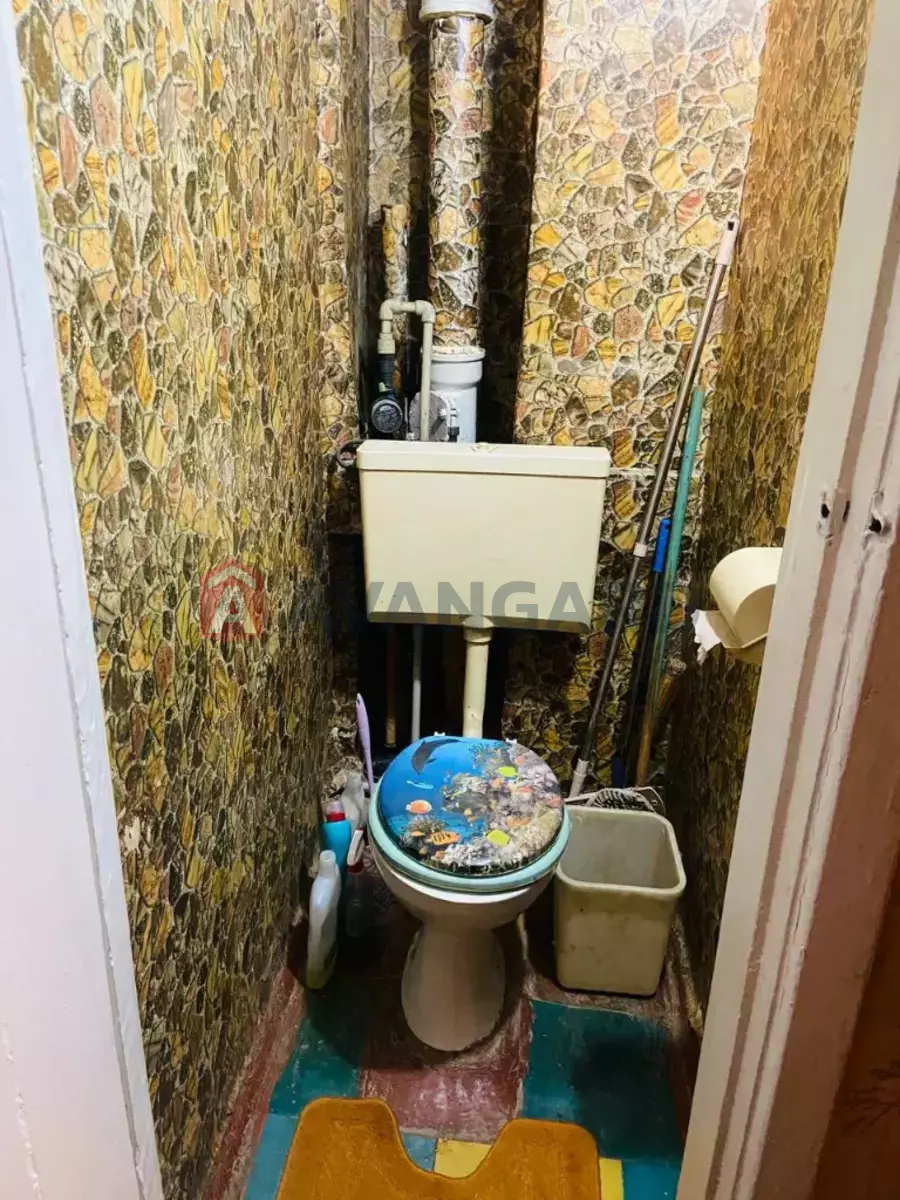 3 ��. ��������, 56/-/6 ��. �., 5/5 ������ ���� 10