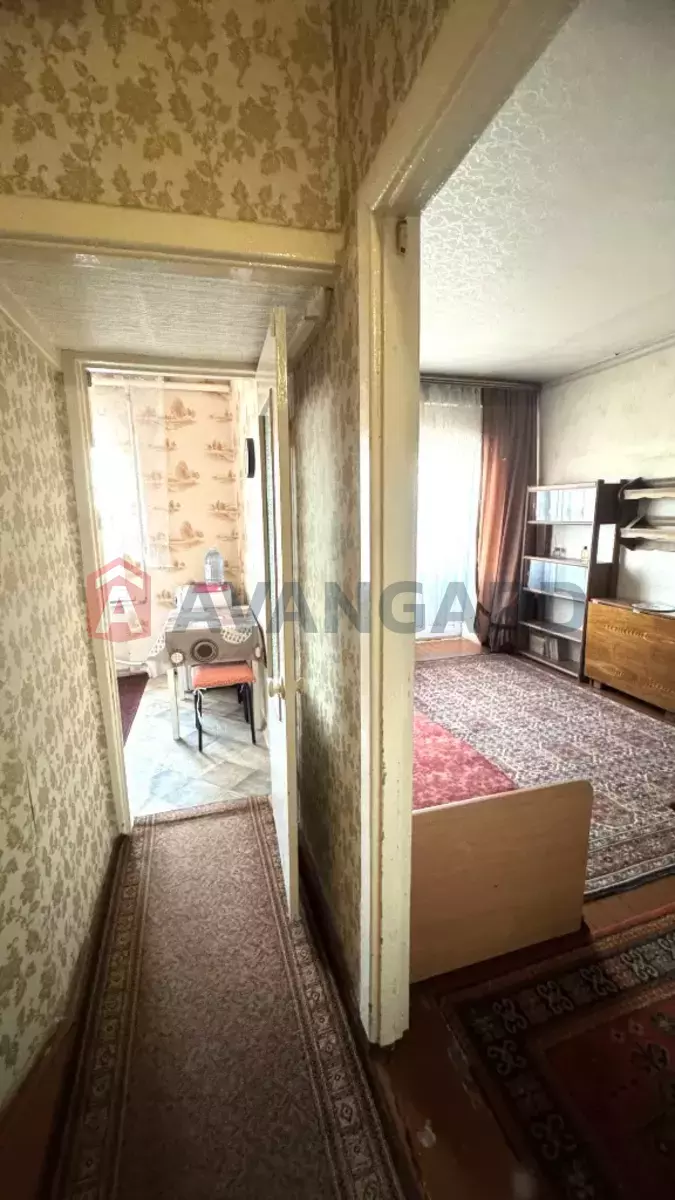 1 . , 28/-/- . ., 5/5   5