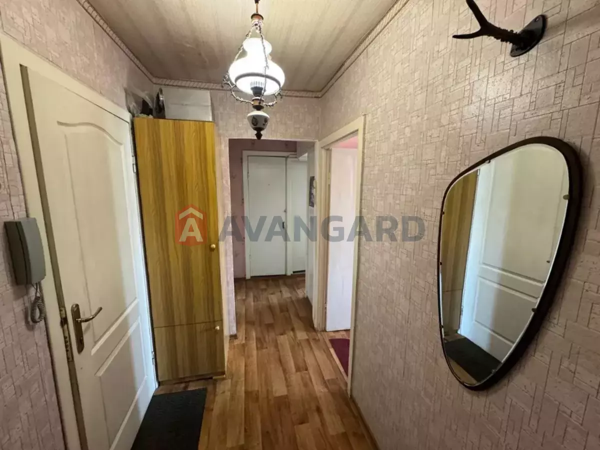 2 ��. ��������, 53/43/10 ��. �., 7/16 ������ ���� 10