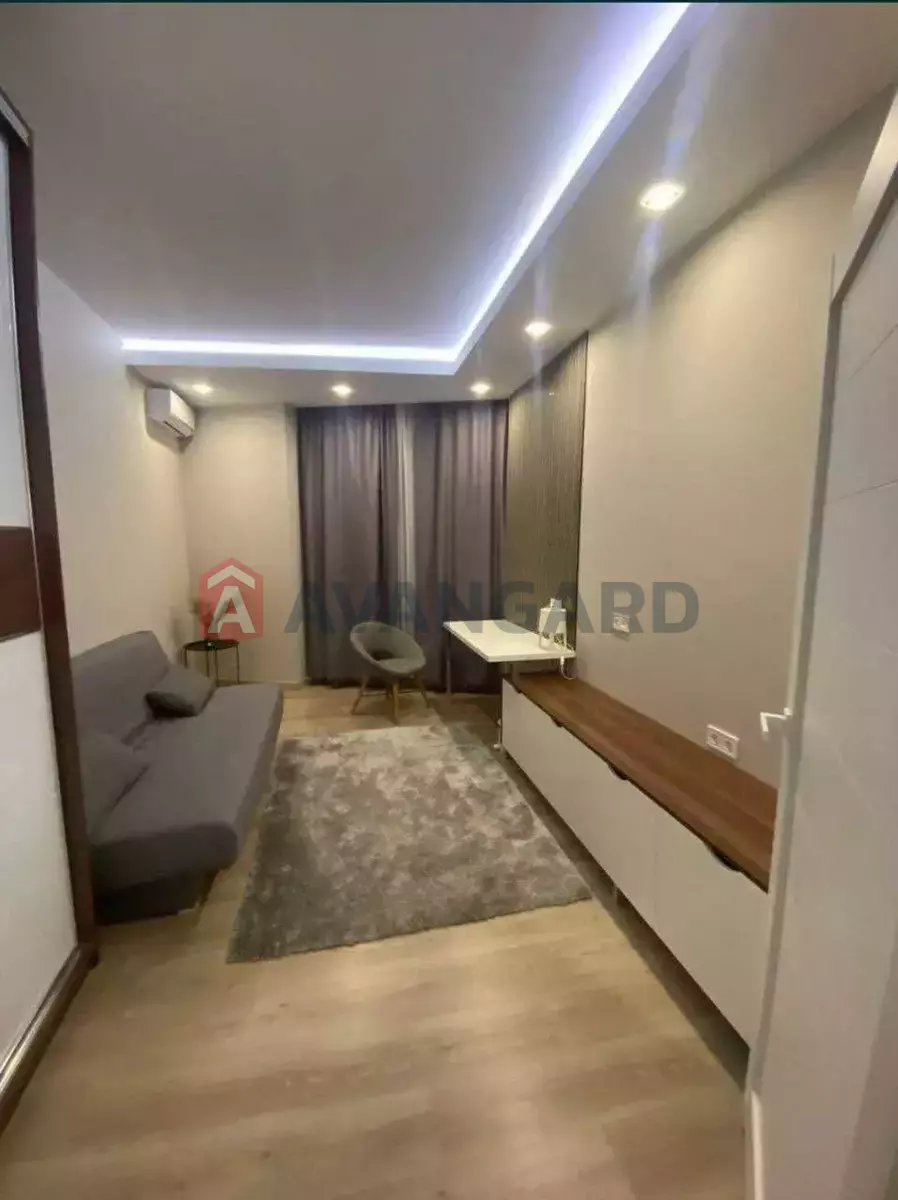 3 ��. ��������, 82/-/- ��. �., 17/24 ������ ���� 3