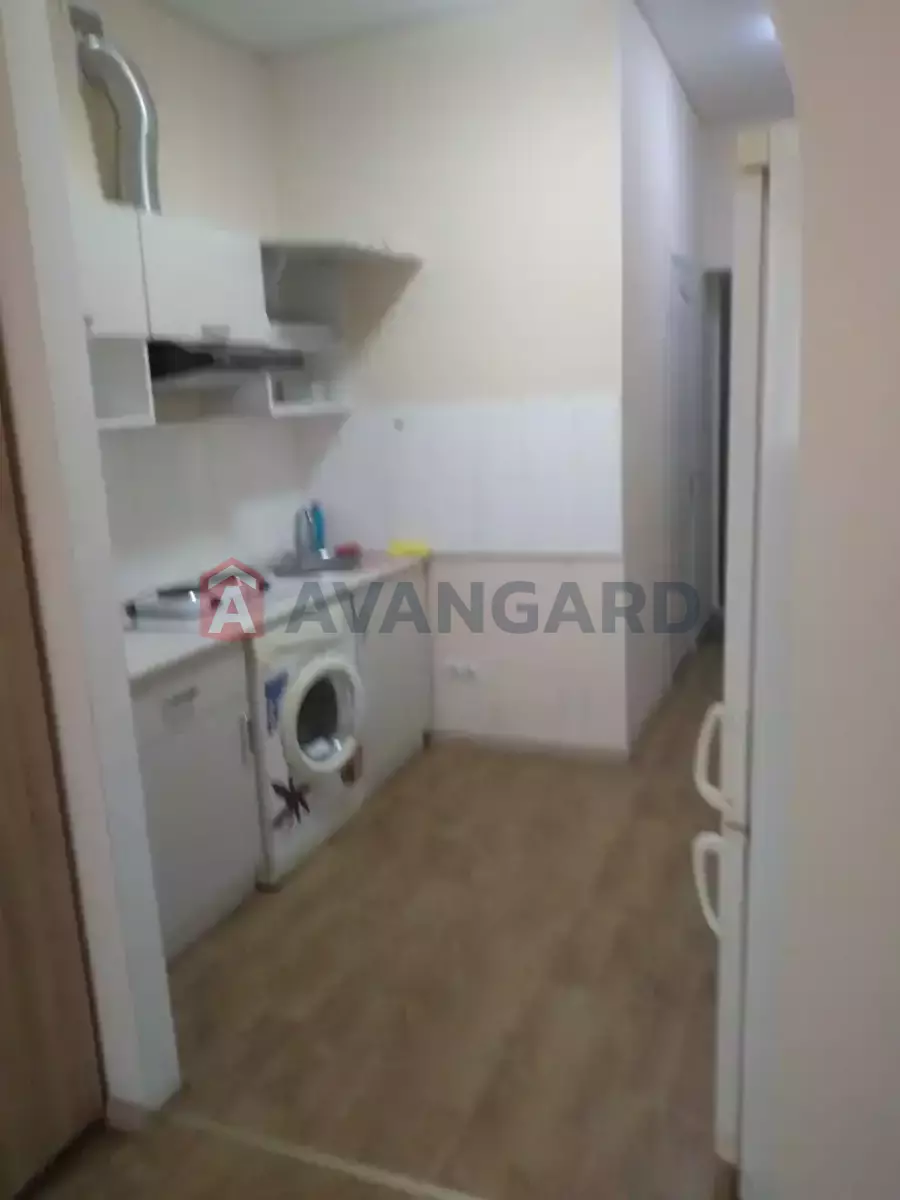 1 ��. ��������, 23/12/6 ��. �., 3/3 ������ ���� 1