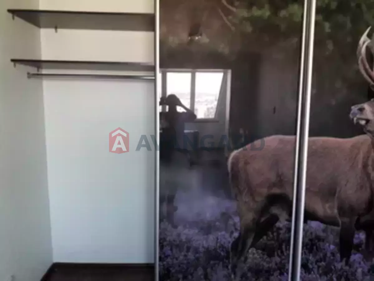 2 ����. ��������, 56/-/9 ��. �., 16/16 ���� ���� 11