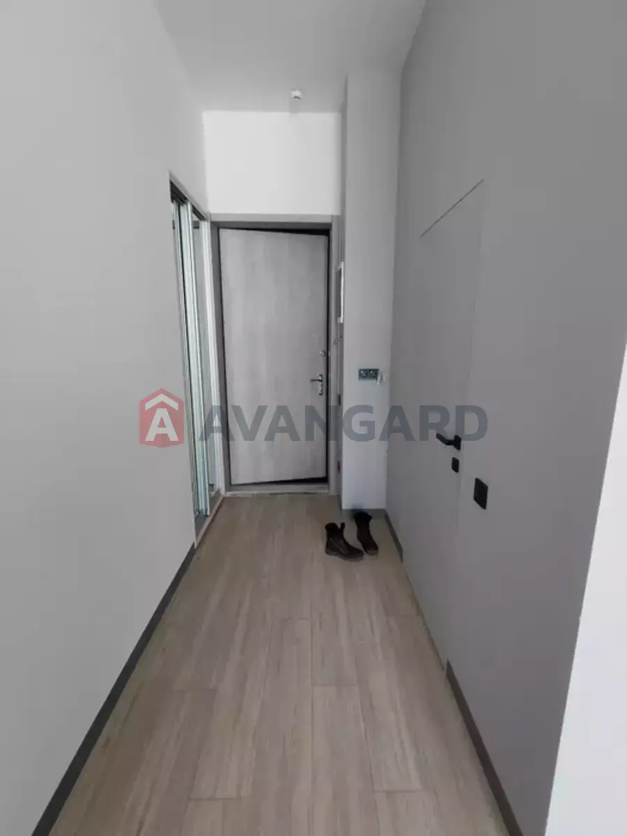 1 ��. ��������, 43/-/20 ��. �., 10/15 ������ ���� 3