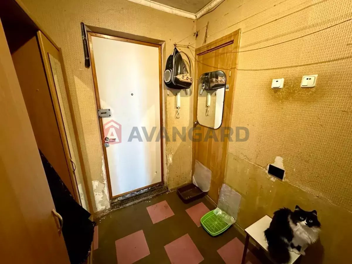 1 ��. ��������, 40/18/8 ��. �., 12/12 ������ ���� 6