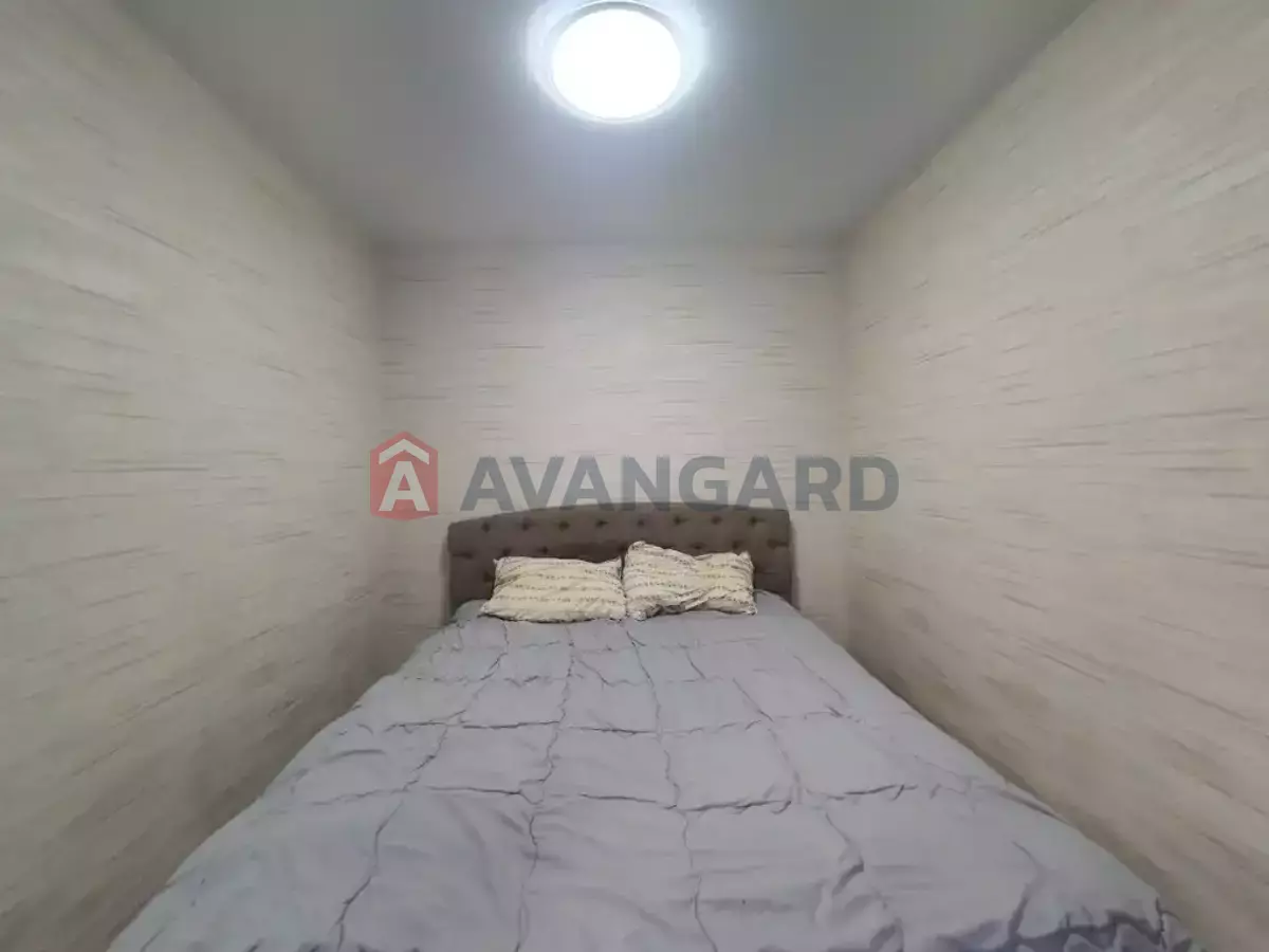 1 ��. ��������, 50/31/8 ��. �., 3/9 ������ ���� 8