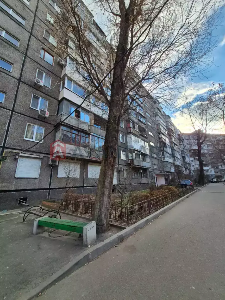 2 ��. ��������, 52/36/8 ��. �., 3/9 ������ ���� 2