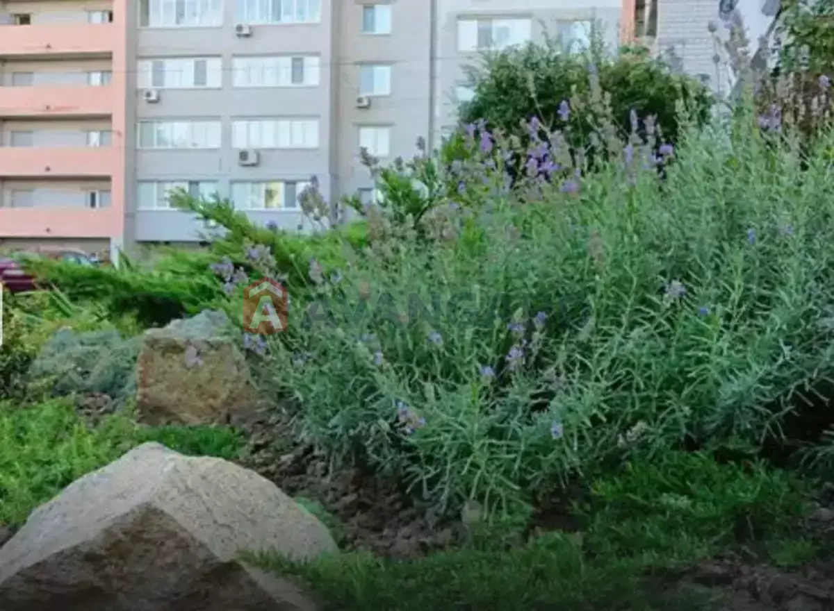 1 ����. ��������, 50/38/12 ��. �., 10/17 ���� ���� 14