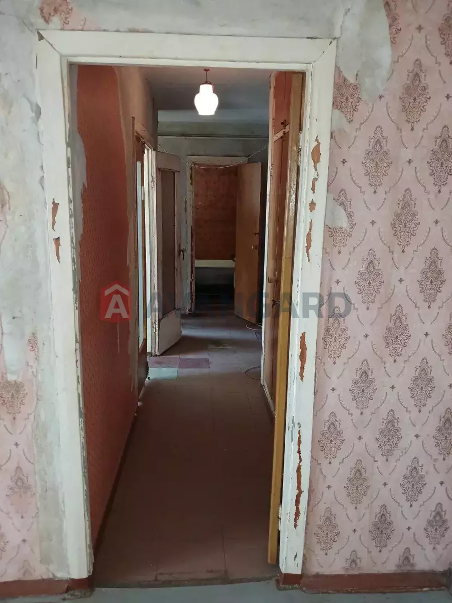 2 ����. ��������, 50/29/8 ��. �., 1/9 ���� ���� 4