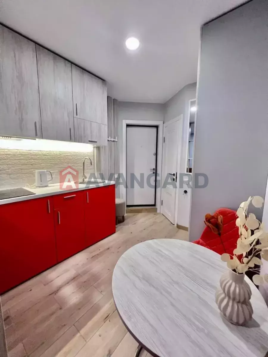 1 ����. ��������, 24/10/4 ��. �., 9/9 ���� ���� 3