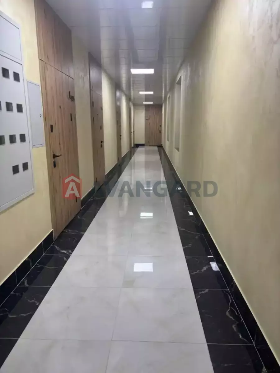 1 ��. ��������, 16/10/6 ��. �., 4/4 ������ ���� 8