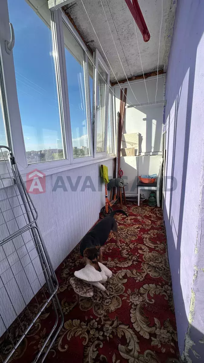 3 . , 68/-/20 . ., 10/10   8