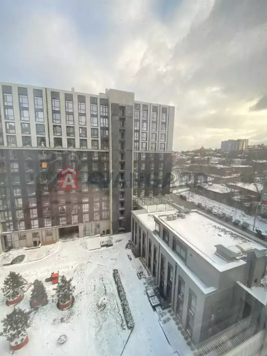 2 ��. ��������, 57/-/- ��. �., 8/12 ������ ���� 19