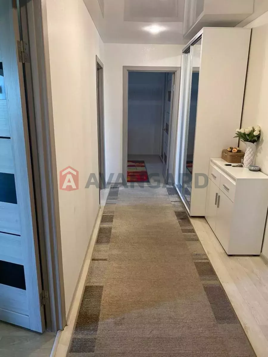 2 ����. ��������, 65/-/24 ��. �., 8/10 ���� ���� 5