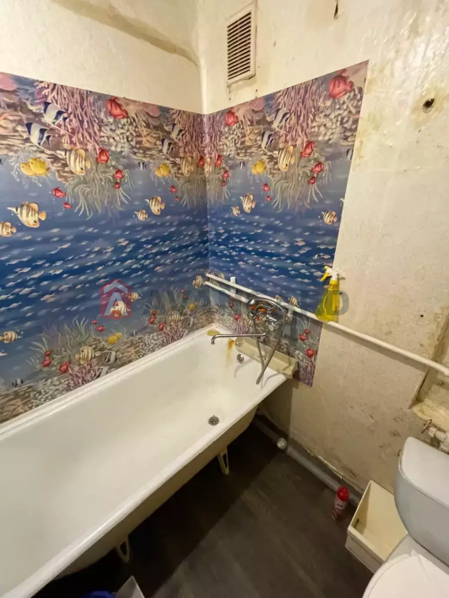 1 ����. ��������, 31/18/6 ��. �., 2/5 ���� ���� 2