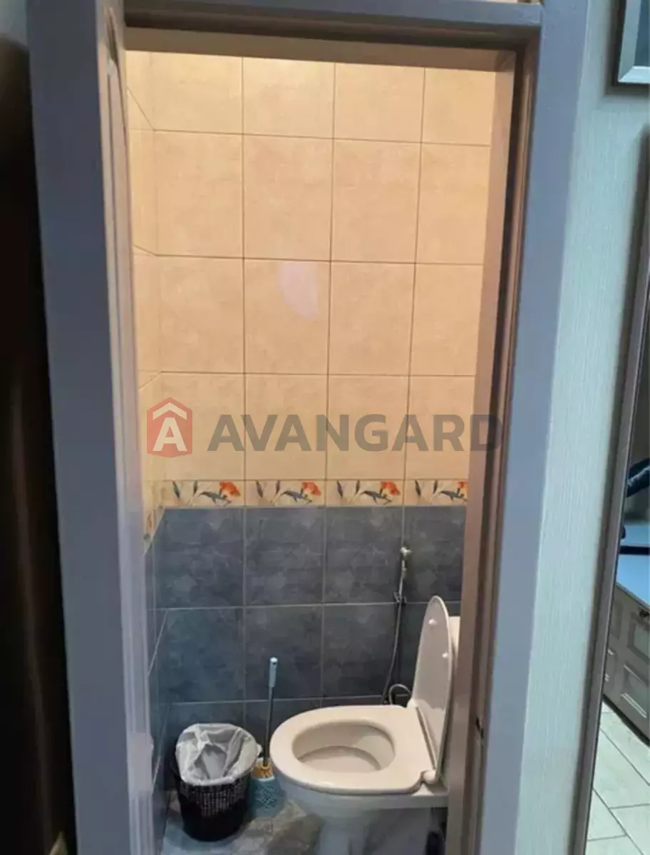 2 ����. ��������, 52/-/10 ��. �., 5/5 ���� ���� 11