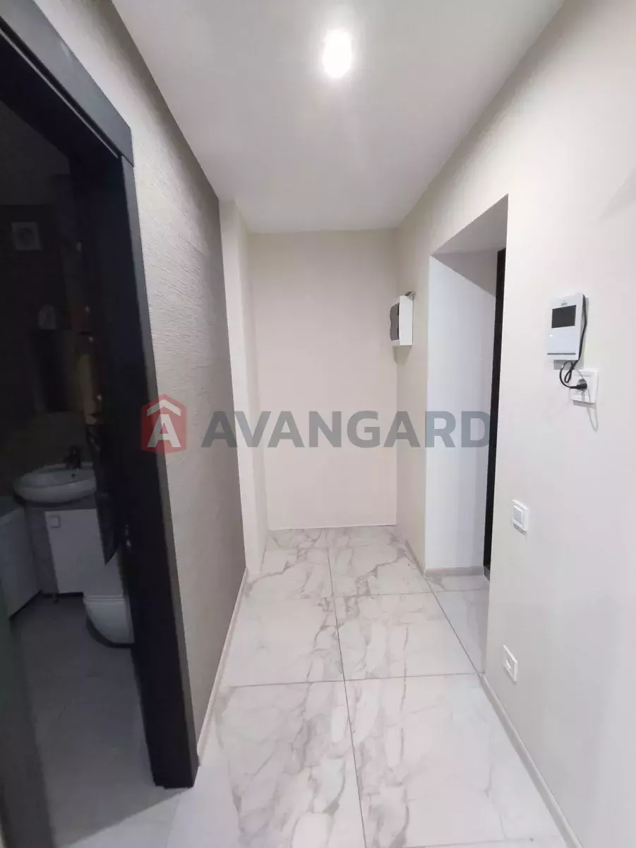 1 ��. ��������, 33/-/8 ��. �., 5/5 ������ ���� 9