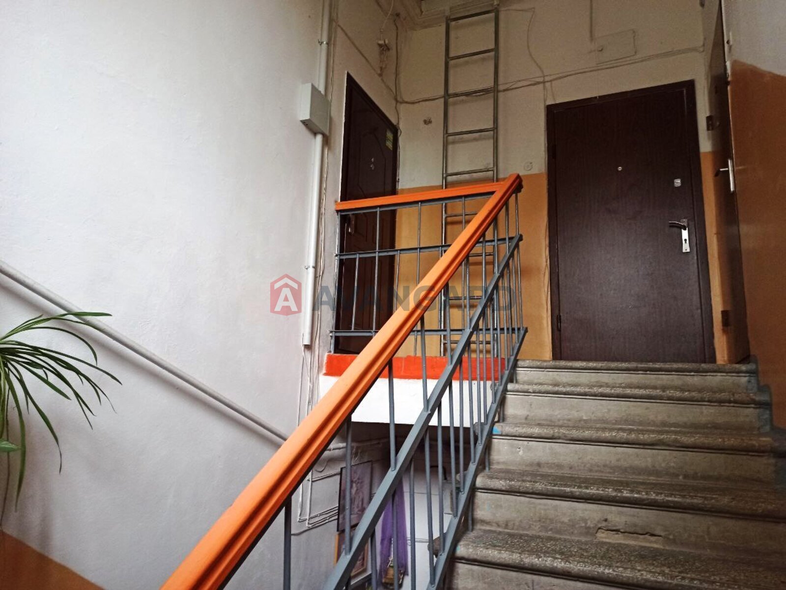 3 ����. ��������, 59.3/39.7/8.5 ��. �., 2/2 ���� ���� 21