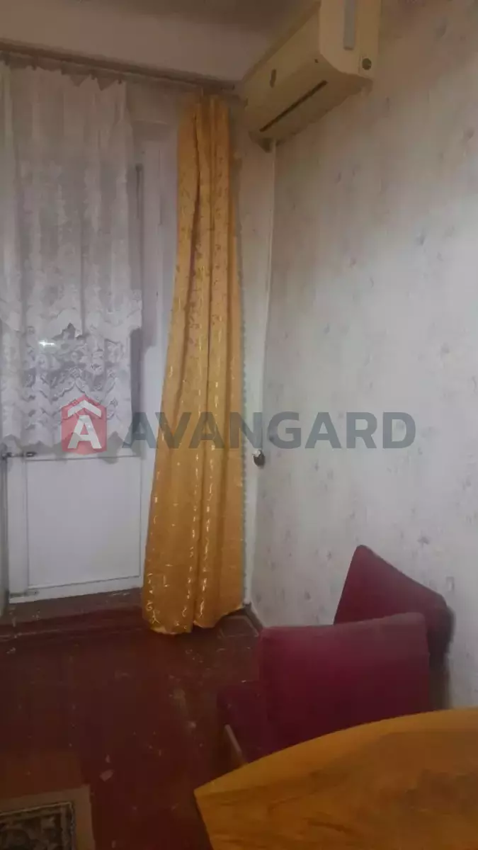 3 ��. ��������, 54/-/- ��. �., 2/2 ������ ���� 4