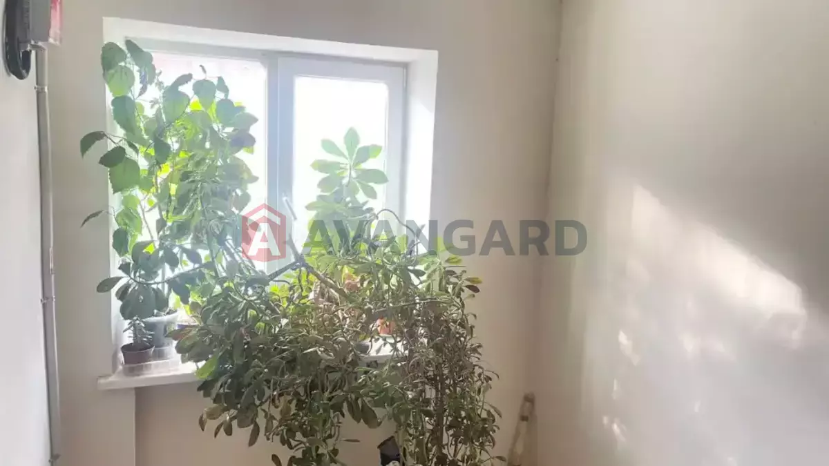 3 ��. ��������, 57/45/6 ��. �., 7/9 ������ ���� 20