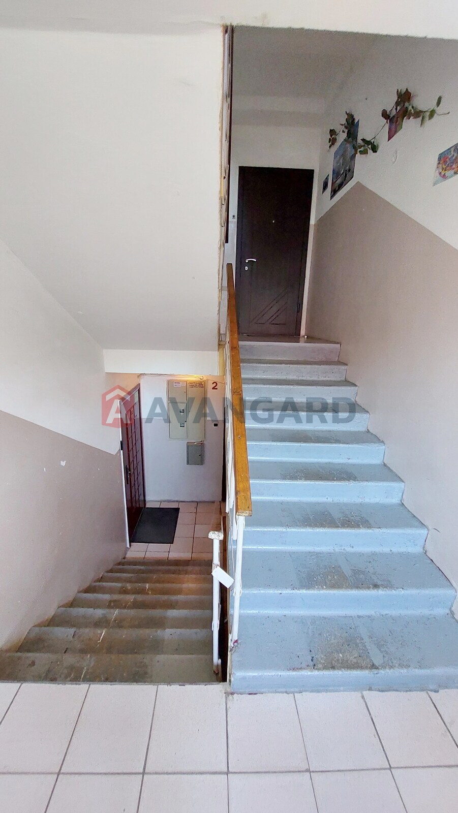 3 ��. ��������, 90/60/12 ��. �., 3/6 ������ ���� 17