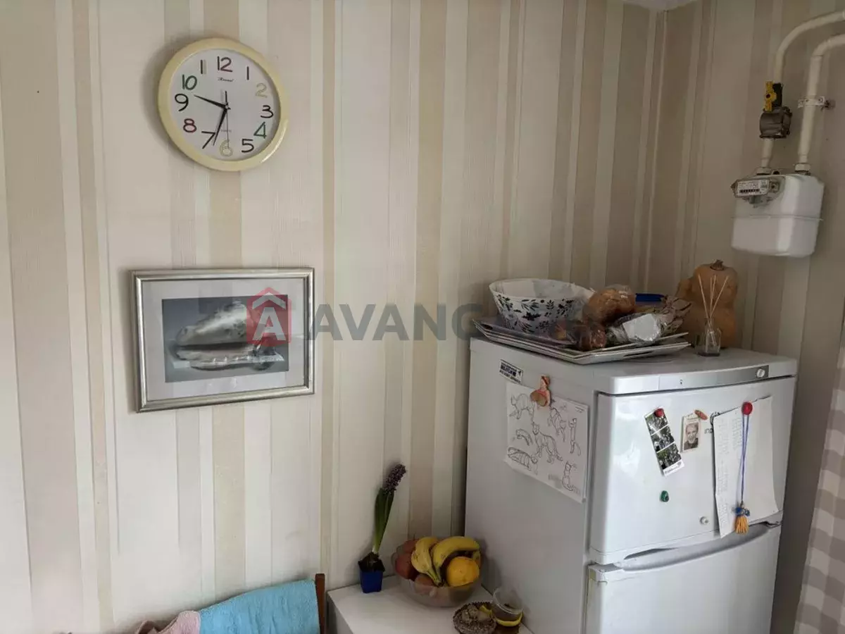 1 ����. ��������, 50/-/6 ��. �., 1/5 ���� ���� 3