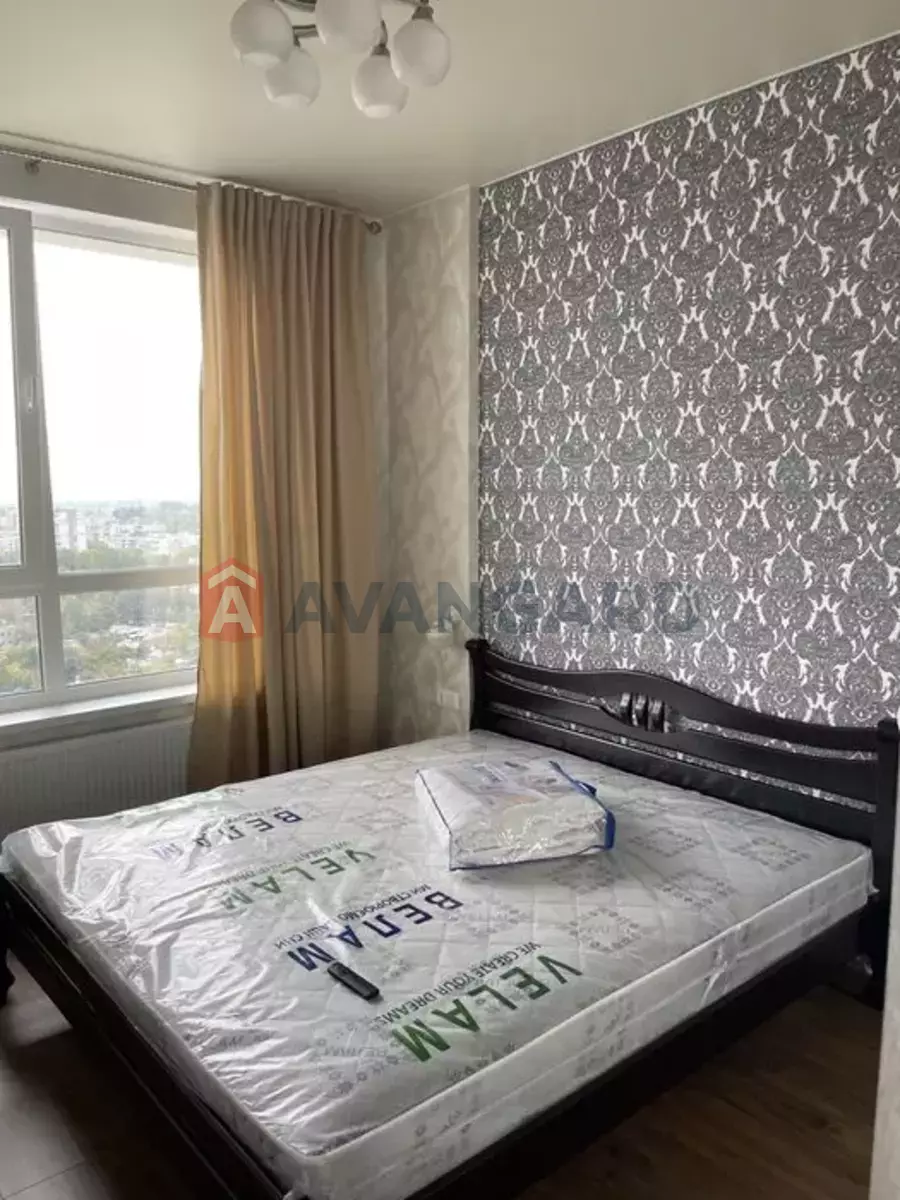 2 . , 50/-/- . ., 24/24   4