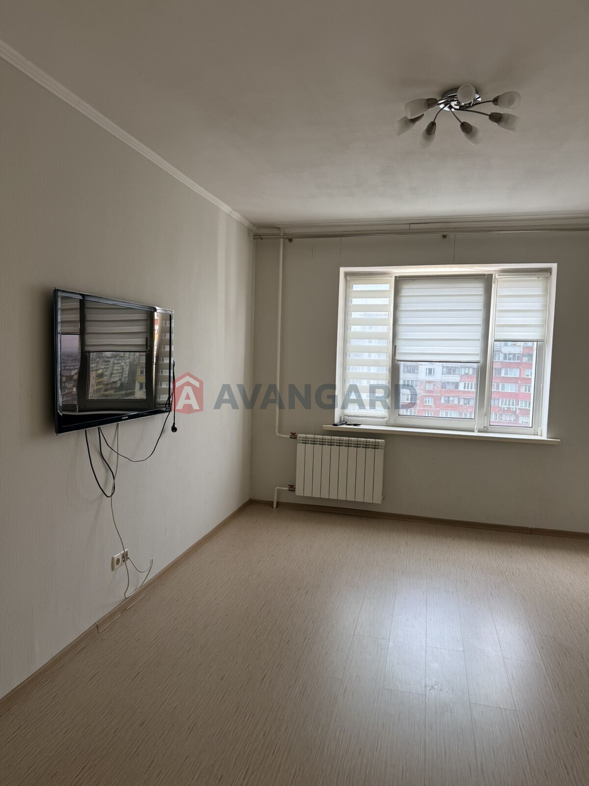 2 ����. ��������, 53/-/- ��. �., 14/16 ���� ���� 17