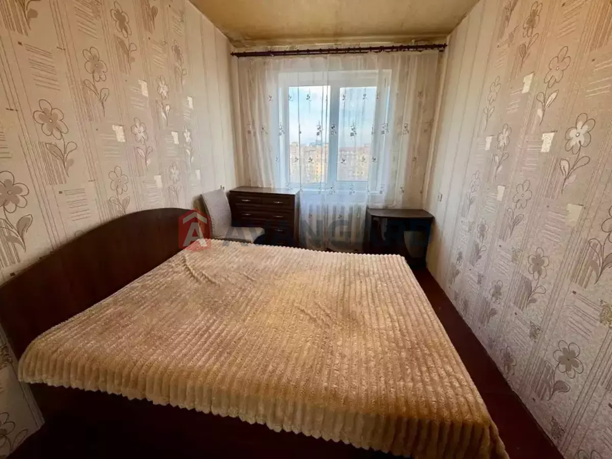 2 ����. ��������, 46/-/- ��. �., 8/10 ���� ���� 3