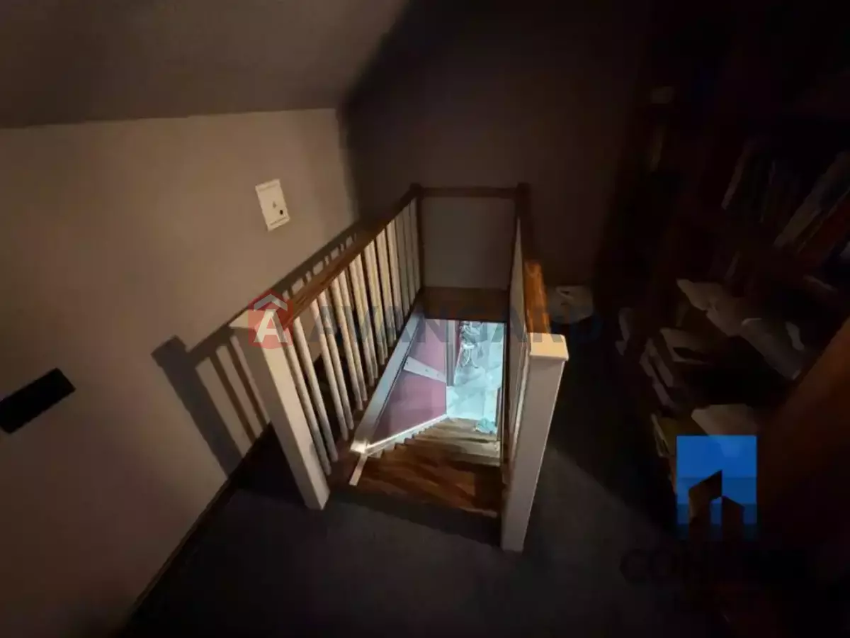 3 ��. ��������, 183/-/50 ��. �., -/2 ������ ���� 10