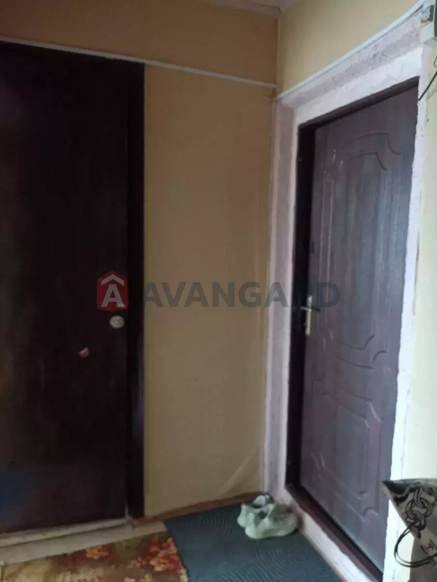 3 ����. ��������, 65/-/8 ��. �., 4/9 ���� ���� 5