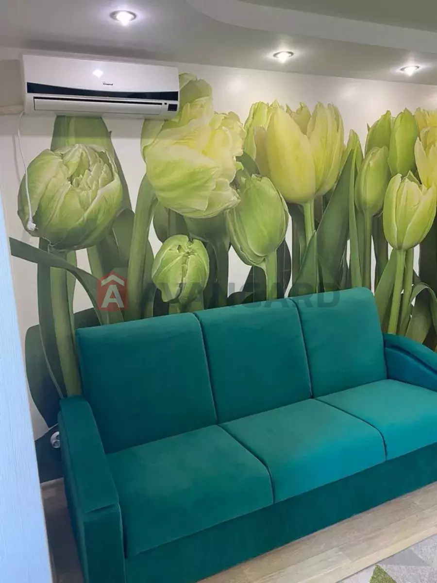 2 ����. ��������, 65/-/24 ��. �., 8/10 ���� ���� 2