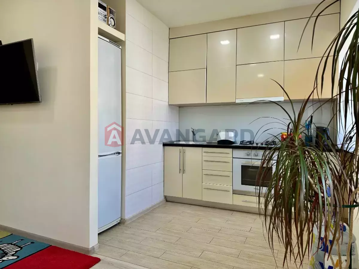 2 ��. ��������, 48/-/- ��. �., 5/5 ������ ���� 2