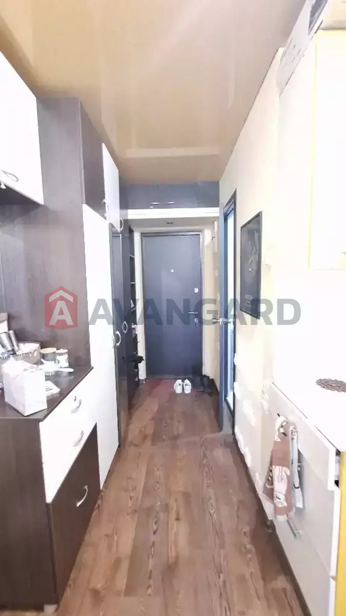 1 . , 22/11/3 . ., 6/9   7