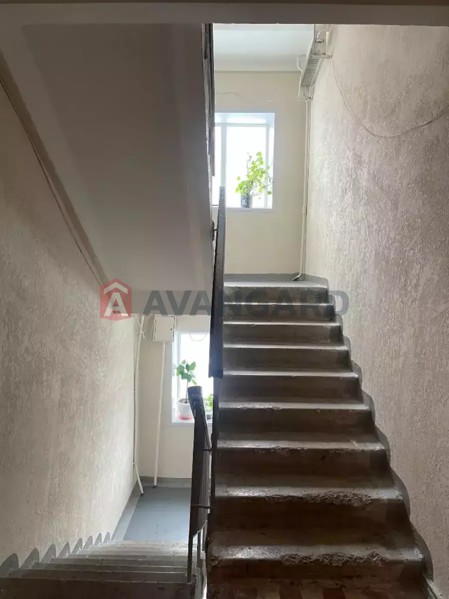 3 ��. ��������, 79/-/10 ��. �., 5/9 ������ ���� 19