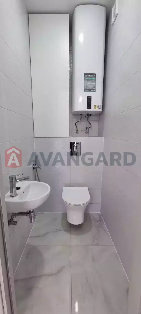 3 ��. ��������, 77/-/- ��. �., 6/11 ������ ���� 7