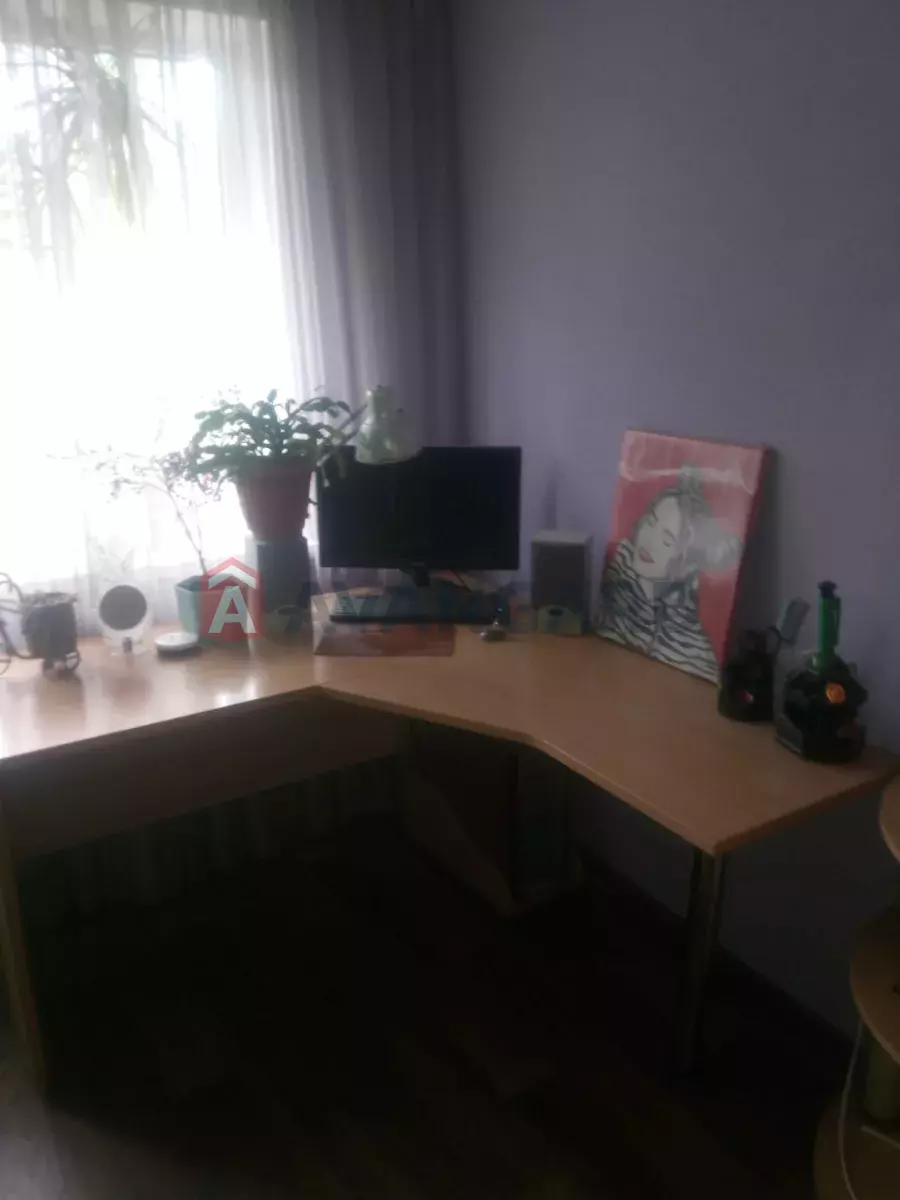 1 ����. ��������, 24/-/10 ��. �., 4/5 ���� ���� 2