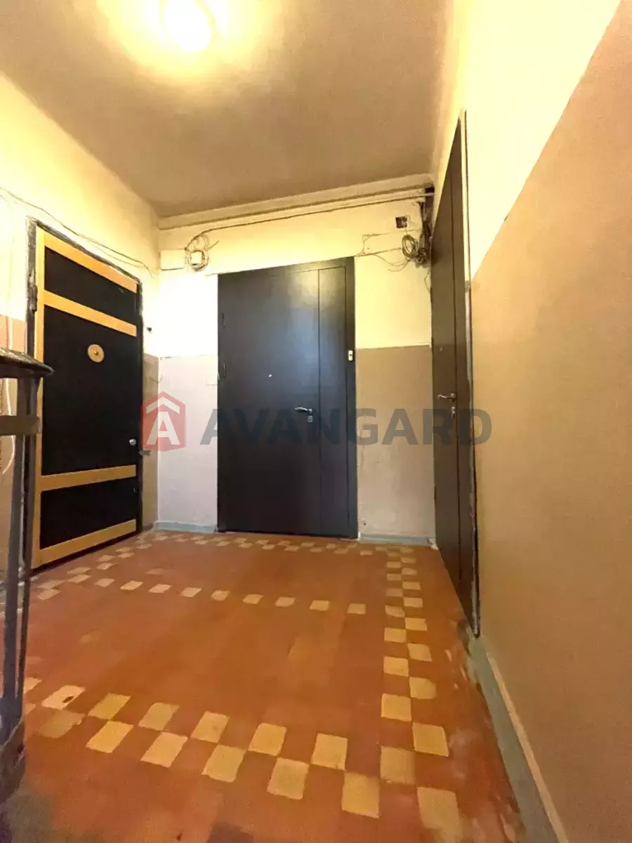 2 ��. ��������, 52/29/7 ��. �., 4/5 ������ ���� 11