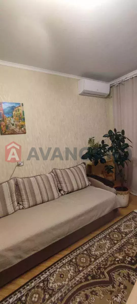 3 ��. ��������, 64/-/12 ��. �., 10/10 ������ ���� 18