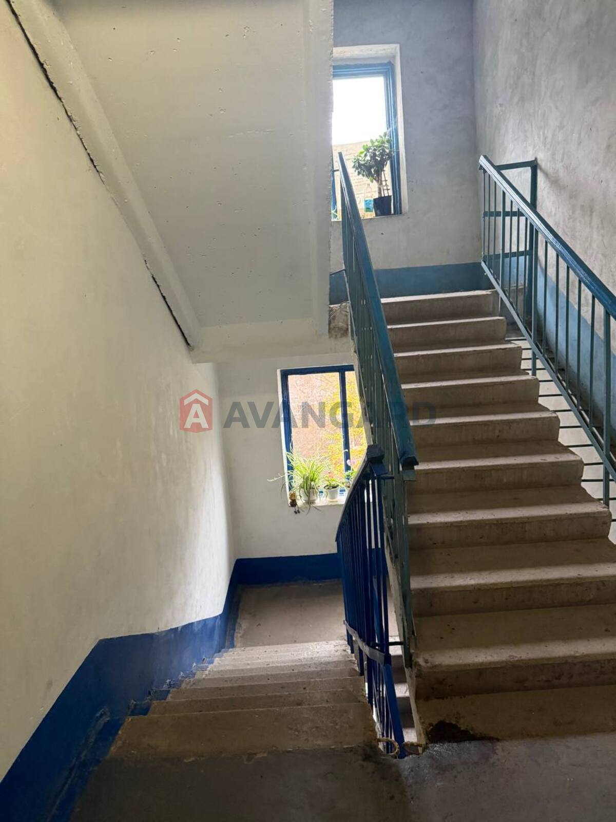 1 ��. ��������, 33/17/7 ��. �., 4/5 ������ ���� 16