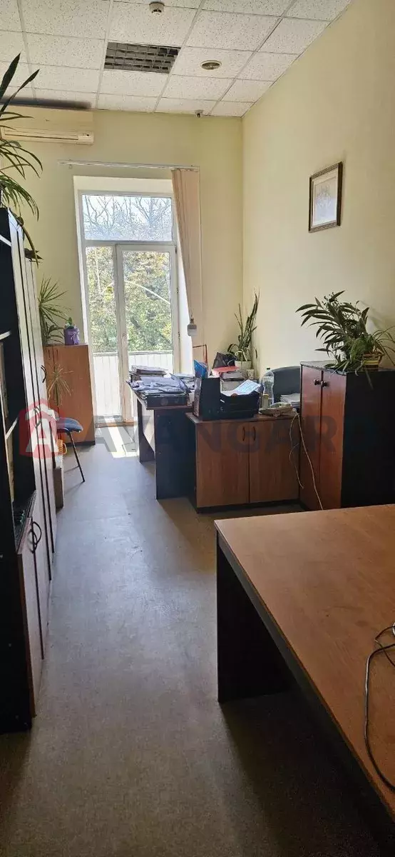 3 ��. ��������, 155/-/20 ��. �., 3/4 ������ ���� 3