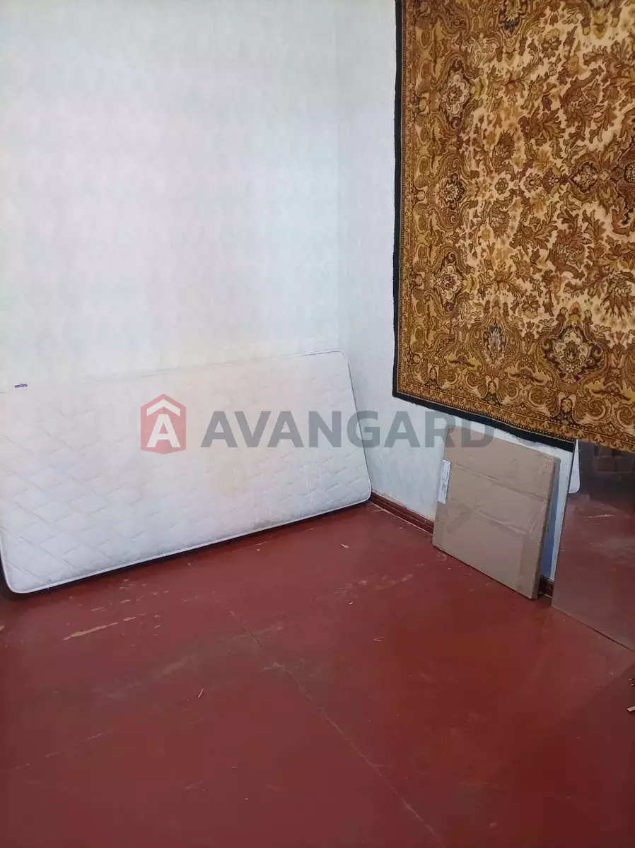 2 ����. ��������, 52/-/7 ��. �., 1/2 ���� ���� 3