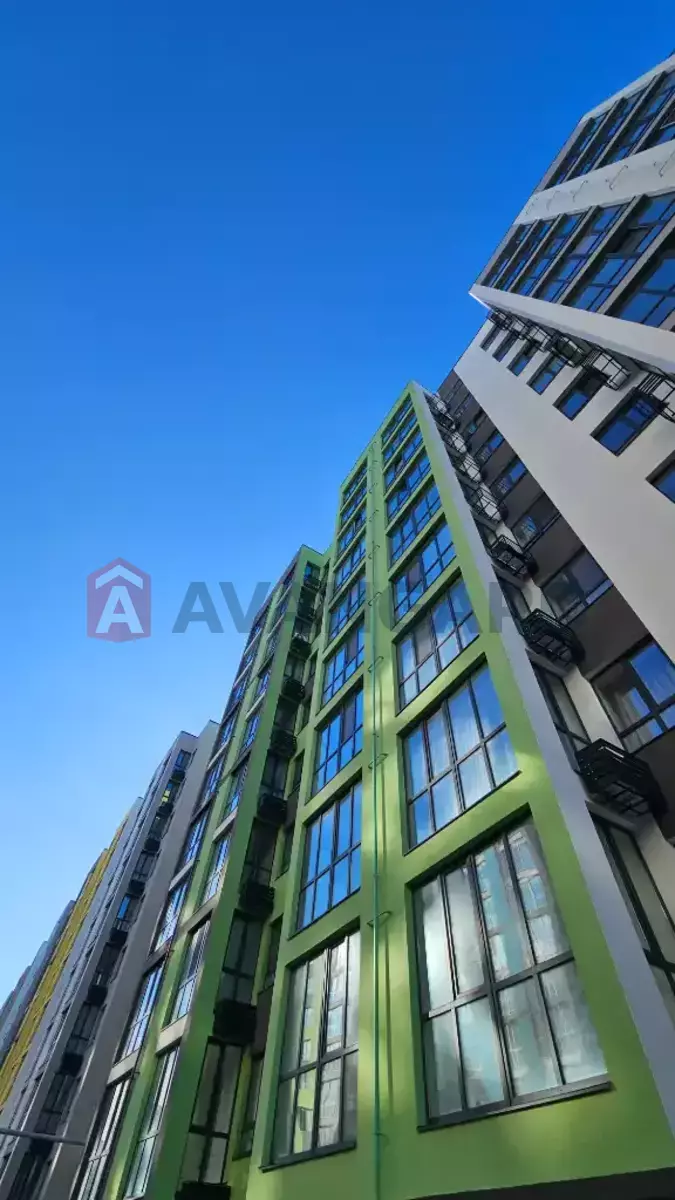 2 . , 50/-/- . ., 10/11   1