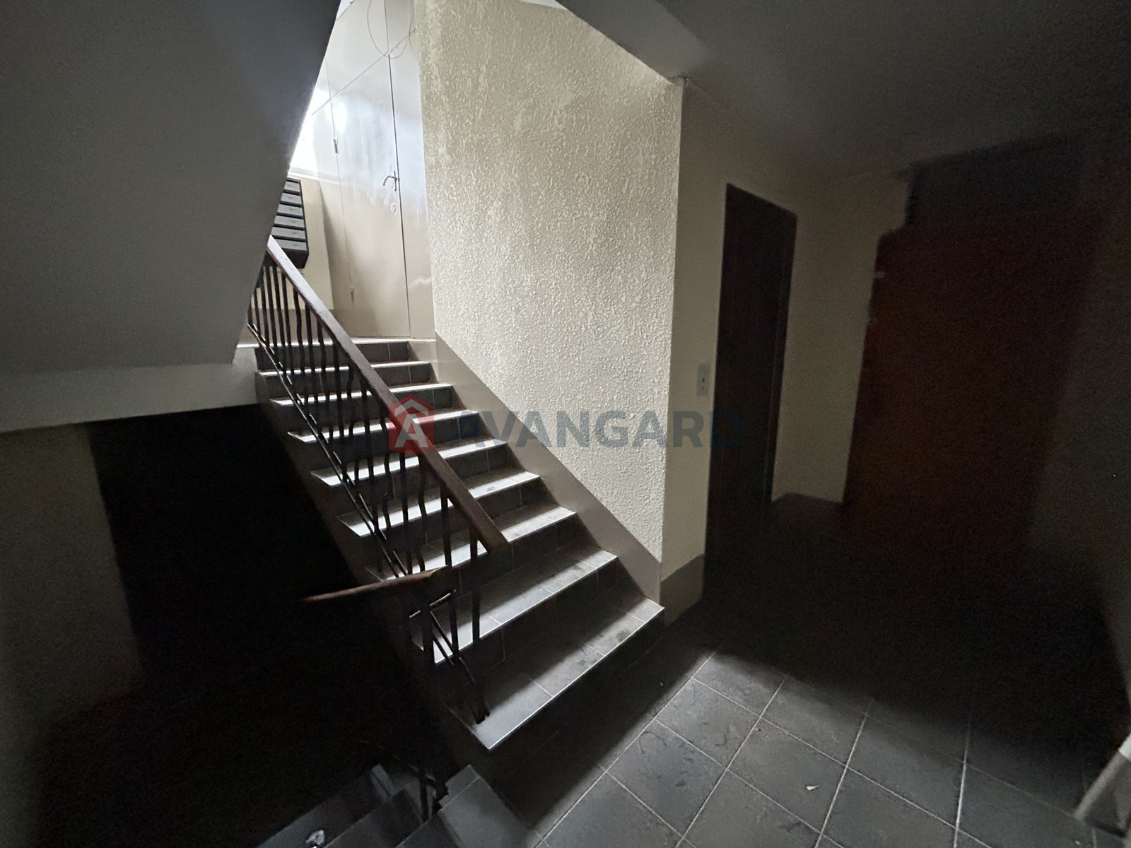 3 ��. ��������, 65/40/8 ��. �., 5/9 ������ ���� 19