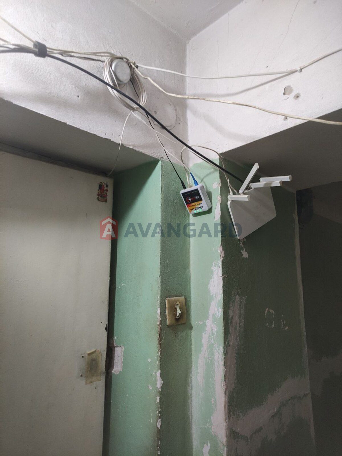 2 ��. ��������, 65/-/7 ��. �., 8/14 ������ ���� 19