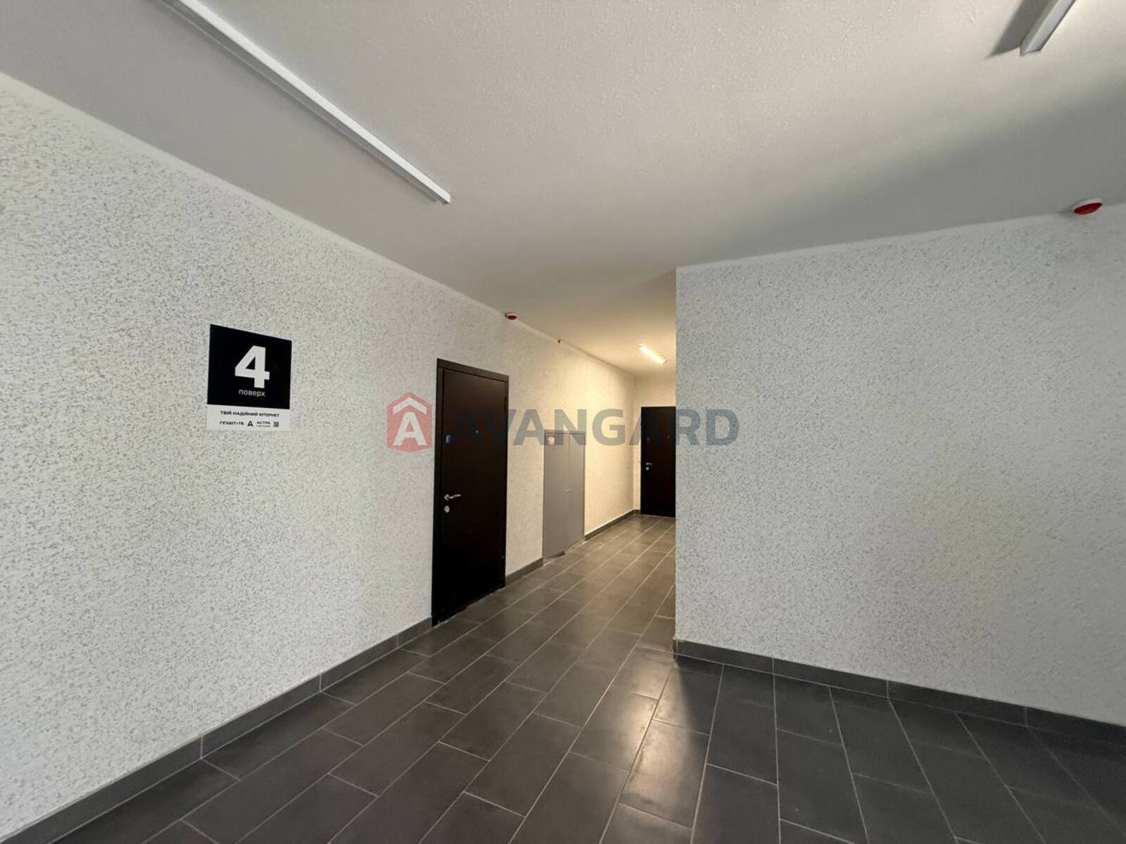 1 ��. ��������, 43/16/14 ��. �., 4/5 ������ ���� 5