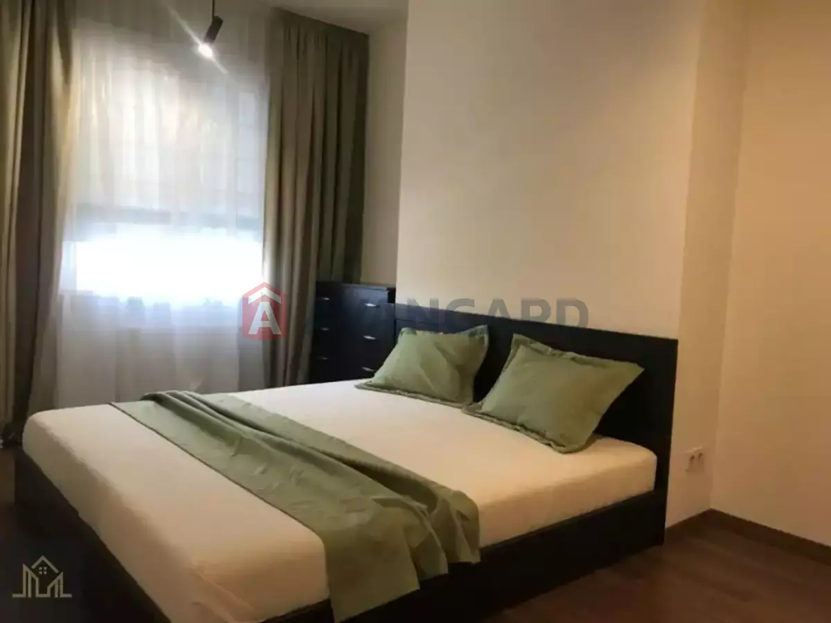 1 ��. ��������, 62/15/8 ��. �., 2/23 ������ ���� 1