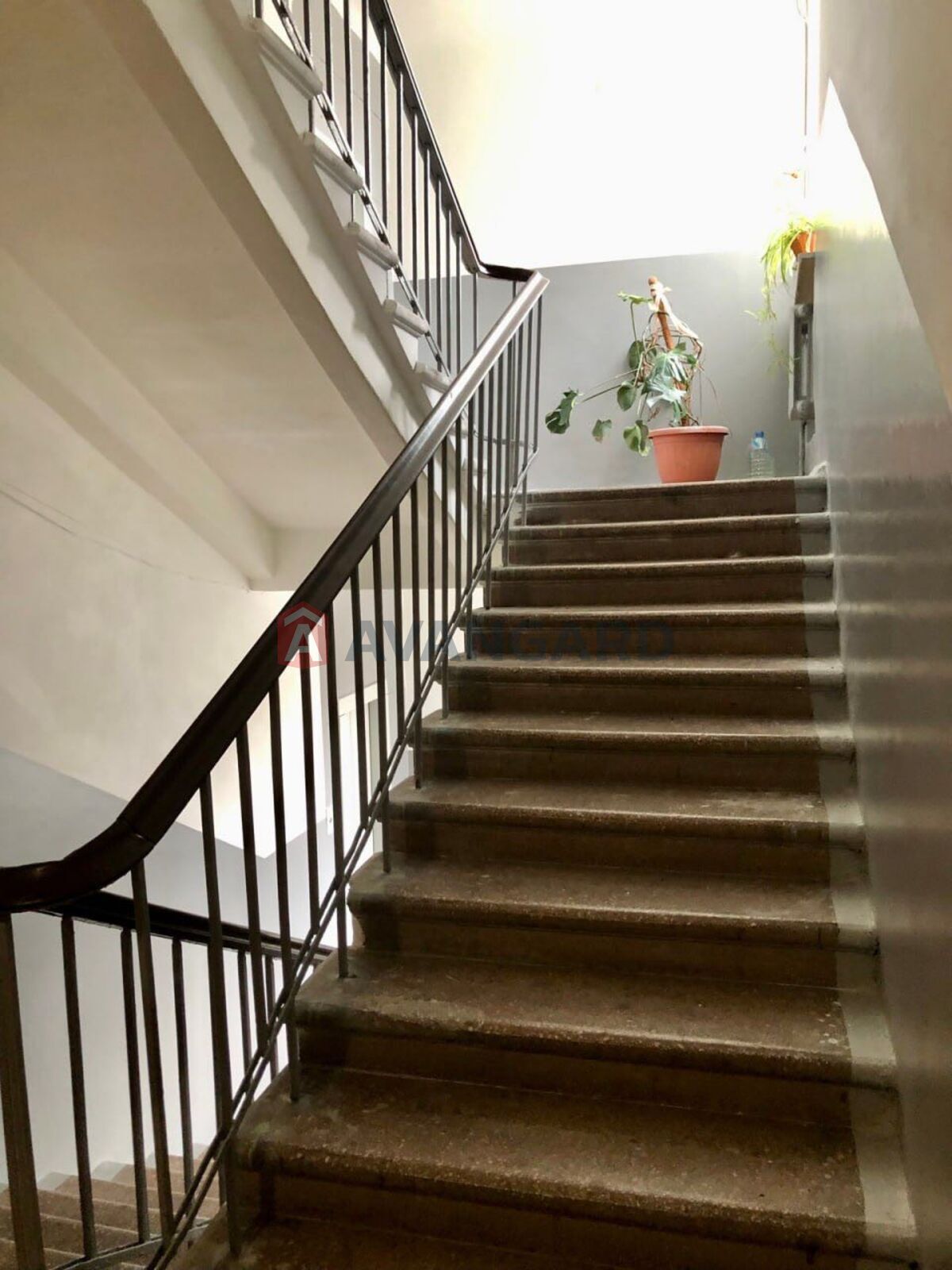 3 ��. ��������, 64/-/13 ��. �., 4/7 ������ ���� 15