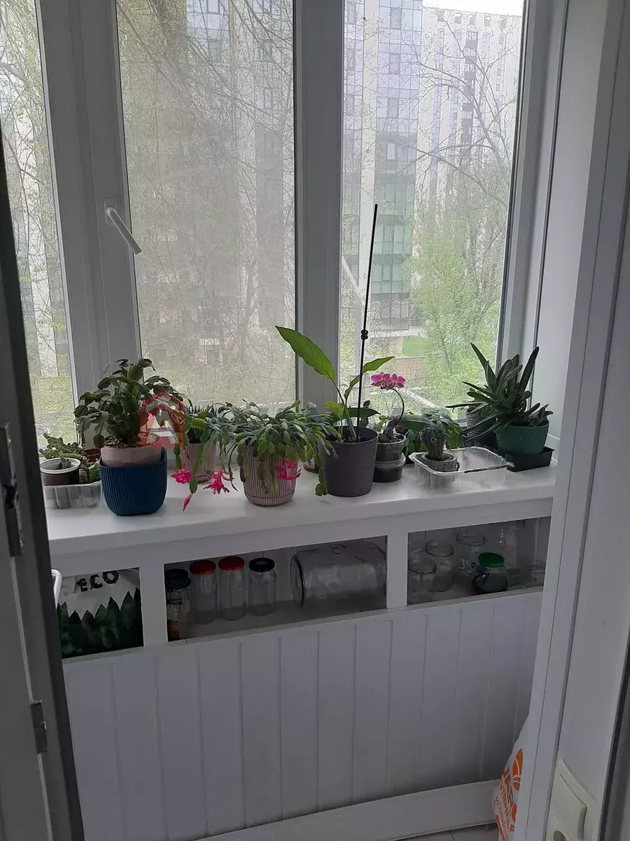 1 ����. ��������, 12/-/6 ��. �., 3/5 ���� ���� 12